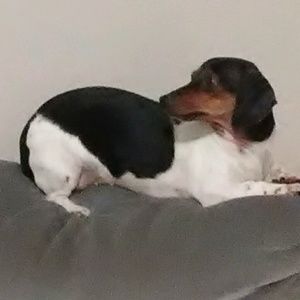 Meet your Posher, Mary